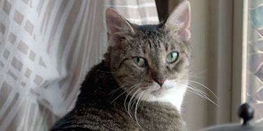 McCracken House Fire