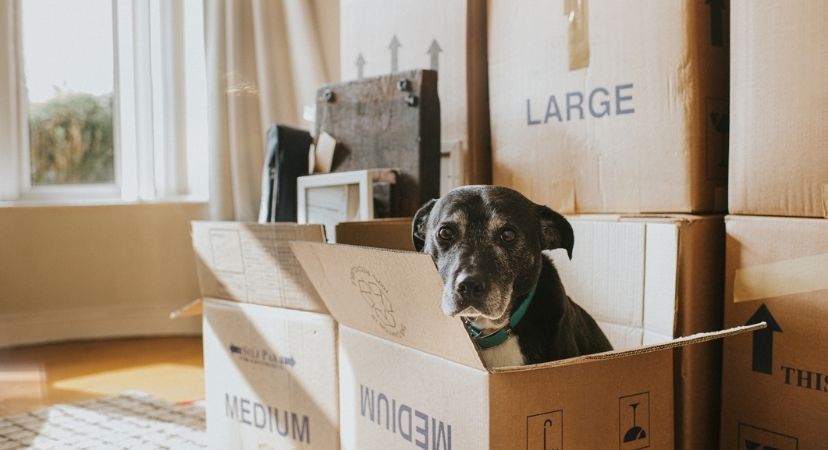 7 smart ways to protect packages from porch pirates — home security strategies with cameras, lighting, and delivery alerts Smart home security tips to prevent package theft — discover 7 effective ways to keep deliveries safe with video doorbell cameras, motion lights, delivery alerts, and secure drop-off options.