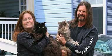 Protecting Pets from Home Fires