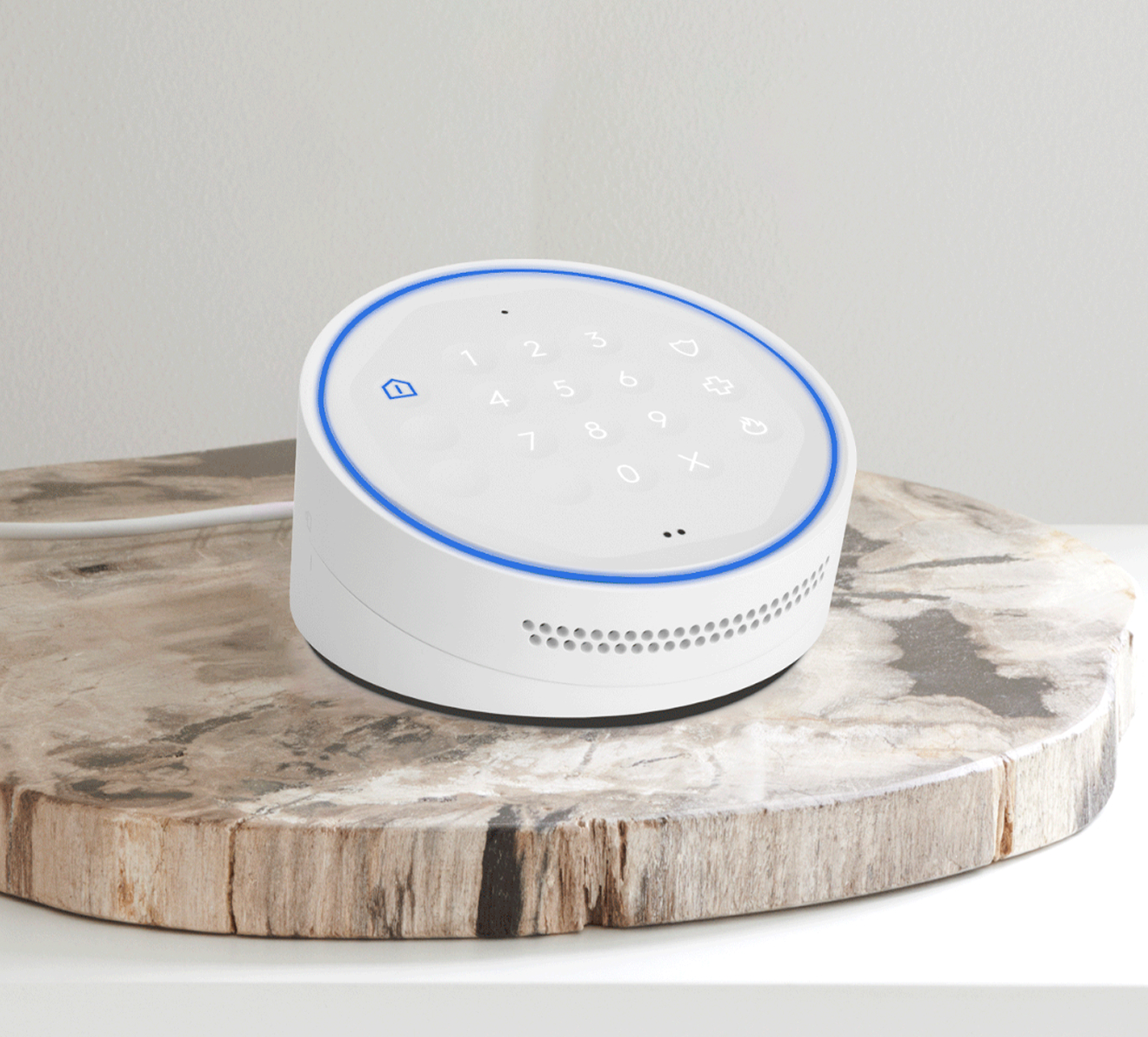 Google Nest Learning Thermostat on a wall 