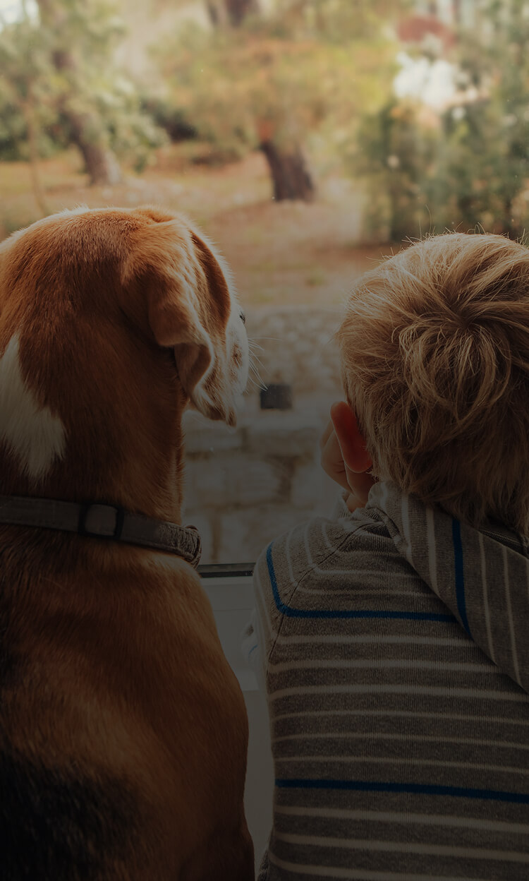 A child and a dog sit side by side indoors, looking out a window toward the yard.