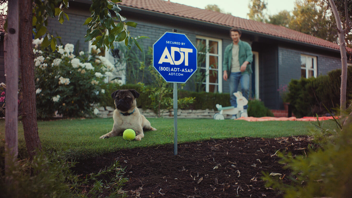 A dog lies in a front yard near an ADT yard sign while the homeowner picks up yard toys in the background.