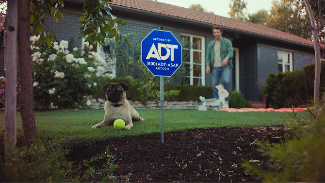 A dog lies in a front yard near an ADT yard sign while the homeowner picks up yard toys in the background.